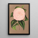 Riproduzione del dipinto Camellia Mistress Dombrain - Charles Antoine Lemaire