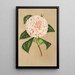 Riproduzione del dipinto Camellia Principessa Clotilde - Charles Antoine Lemaire