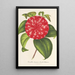 Riproduzione del dipinto Camellia Souvenir d'Émile Defresne - Charles Antoine Lemaire