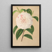 Camellia Virginia Franco - Charles Antoine Lemaire — quadro incorniciato alla parete