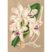 Cattleya amethystoglossa - Charles Antoine Lemaire — vista dell’opera