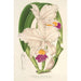 Cattleya quadricolor - Charles Antoine Lemaire — vista dell’opera