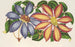 Clematis patens var. atropurpurea et violacea - Charles Antoine Lemaire — vista dell’opera