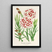 Riproduzione del dipinto Dianthus Verschaffeltii - Charles Antoine Lemaire