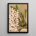 Riproduzione del dipinto Epidendrum conspicuum - Charles Antoine Lemaire