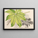 Fatsia japonica aureoreticulata - Charles Antoine Lemaire — quadro incorniciato alla parete