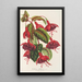 Fucsia Solferino - Charles Antoine Lemaire — quadro incorniciato alla parete