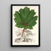 Riproduzione del dipinto Gunnera brephogea - Charles Antoine Lemaire