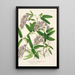 Hardenbergia Makoyana hybrida - Charles Antoine Lemaire — quadro incorniciato alla parete