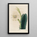 Riproduzione del dipinto Iconografia descrittiva dei cactus Pl11 - Charles Antoine Lemaire