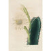 Riproduzione del dipinto Iconografia descrittiva dei cactus Pl11 - Charles Antoine Lemaire