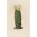 Riproduzione del dipinto Iconografia descrittiva dei cactus Pl13 - Charles Antoine Lemaire