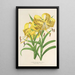 Riproduzione del dipinto Lilium Leichtlinii - Charles Antoine Lemaire