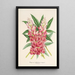 Riproduzione del dipinto Lupinus insignis hybridus - Charles Antoine Lemaire