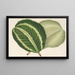 Maranta virginalis - Charles Antoine Lemaire — quadro incorniciato alla parete