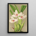 Riproduzione del dipinto Maxillaria grandiflora - Charles Antoine Lemaire