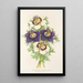 Riproduzione del dipinto Nigella hispanica variétés de la - Charles Antoine Lemaire