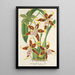 Riproduzione del dipinto Odontoglossum hallii - Charles Antoine Lemaire