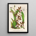 Riproduzione del dipinto Odontoglossum reichenheimii - Charles Antoine Lemaire