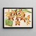Odontoglossum luteopurpureum var. sceptrum - Charles Antoine Lemaire — quadro incorniciato alla parete