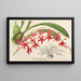 Odontoglossum roseum - Charles Antoine Lemaire — quadro incorniciato alla parete