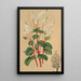 Peperomia resediflora - Charles Antoine Lemaire — quadro incorniciato alla parete