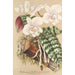 Phalaenopsis schilleriana - Charles Antoine Lemaire — vista dell’opera