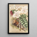 Phalaenopsis schilleriana - Charles Antoine Lemaire — quadro incorniciato alla parete