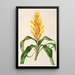 Pitcairnia andreana - Charles Antoine Lemaire — quadro incorniciato alla parete