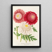Pyrethrum - Charles Antoine Lemaire — quadro incorniciato alla parete
