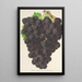 Uva nuova Muscat nero di Amburgo - Charles Antoine Lemaire — quadro incorniciato alla parete