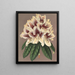 Rhododendron Archiduc Albert ibrido - Charles Antoine Lemaire — quadro incorniciato alla parete
