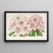 Rhododendron Bijou de Gand ibrido - Charles Antoine Lemaire — quadro incorniciato alla parete