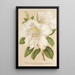 Rhododendron Sesterianum ibrido - Charles Antoine Lemaire — quadro incorniciato alla parete