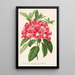 Riproduzione del dipinto Rhododendron azaleoides var. crispinorum - Charles Antoine Lemaire