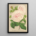 Rose su Angeli - Charles Antoine Lemaire — quadro incorniciato alla parete