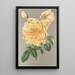 Rosa Tè Giallo d'Oro - Charles Antoine Lemaire — quadro incorniciato alla parete