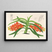 Saccolabium curvifolium - Charles Antoine Lemaire — quadro incorniciato alla parete