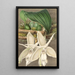 Riproduzione del dipinto Stanhopea eburnea var. spectabilis - Charles Antoine Lemaire