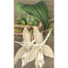 Riproduzione del dipinto Stanhopea eburnea var. spectabilis - Charles Antoine Lemaire