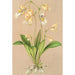 Utricularia montana - Charles Antoine Lemaire — vista dell’opera