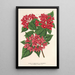 Riproduzione del dipinto Weigelia Middendorffiana var purpurata - Charles Antoine Lemaire