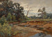 in legno dell'Indiana - Charles Conner — vista dell’opera