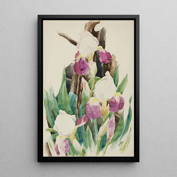Iris - Charles Demuth — quadro incorniciato alla parete