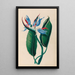 Disegni di fiori e frutti tropicali dell'America del Sud Pl13 - Charles Empson — quadro incorniciato alla parete