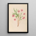 Riproduzione del dipinto Disegni di fiori e frutti tropicali dell'America del Sud Pl21 - Charles Empson