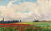 Un campo di papaveri in Francia - Charles Francis Browne — vista dell’opera