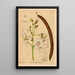 Piante medicinali Pl002 - Charles Frederick Millspaugh — quadro incorniciato alla parete