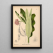 Riproduzione del dipinto Piante medicinali Pl029 - Charles Frederick Millspaugh