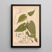 Riproduzione del dipinto Piante medicinali Pl033 - Charles Frederick Millspaugh